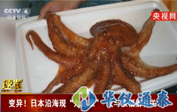 日本沿?，F(xiàn)九足章或與核輻射相關(guān)