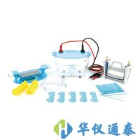 北京六一 DYCZ-24K、DYCZ-24KS型雙板垂直電泳儀